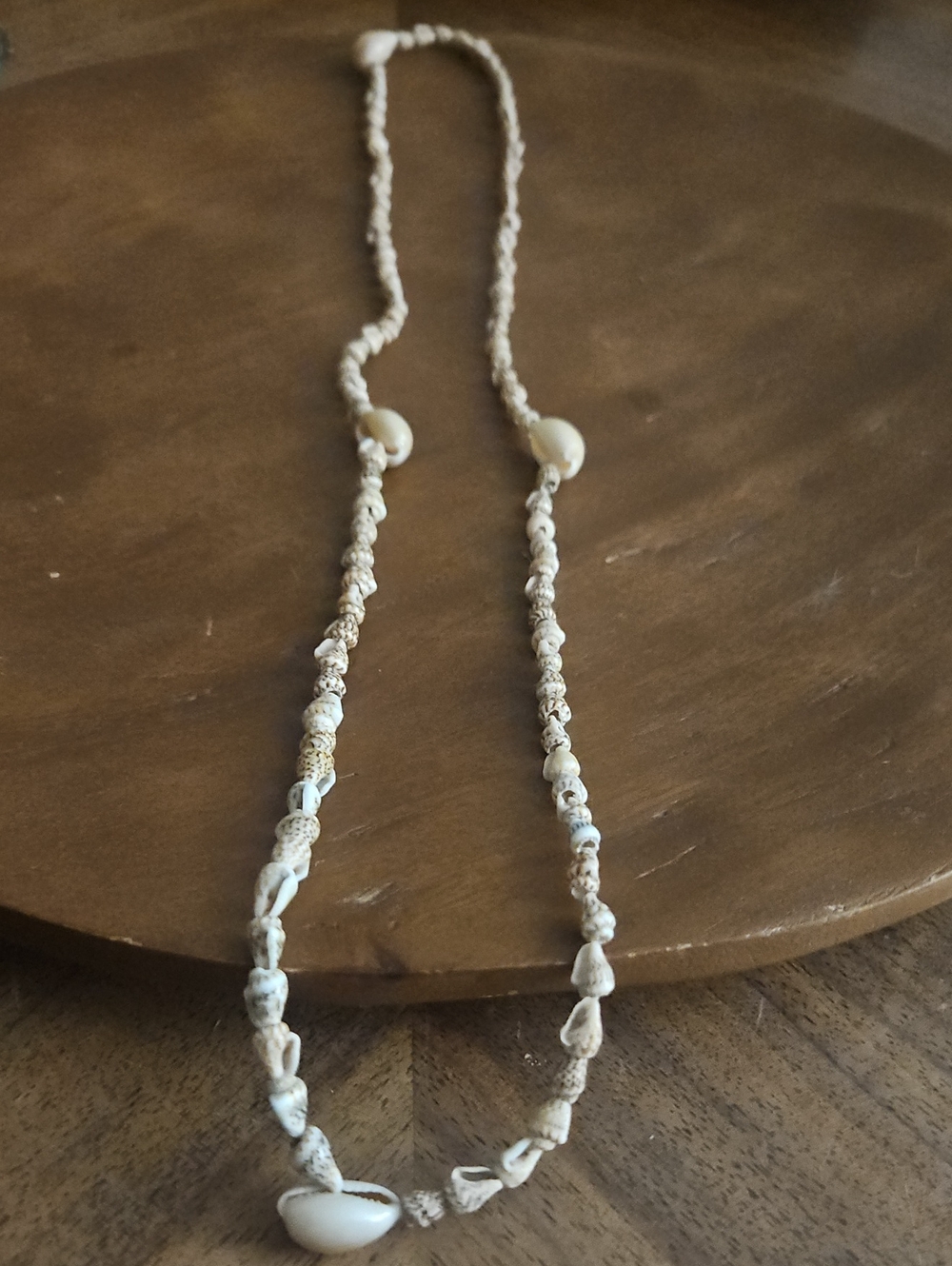 Vintage Boho Long Multi-Seashell & Cowrie Strand
